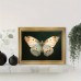 Bellcat Picture Frames  White Butterfly Canvas Wall Art with Vintage Golden Frame, Wall Decor for Living Room - 29.97cm x 39.88cm Single Piece Butterfly Print