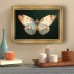 Bellcat Picture Frames  White Butterfly Canvas Wall Art with Vintage Golden Frame, Wall Decor for Living Room - 29.97cm x 39.88cm Single Piece Butterfly Print