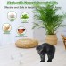 Curvecity Dog repellents 36 Pack Stray Cats and Dogs Repellent Balls for Outdoor, Natural Peppermint Oil to Keep Cat Scratch Away from Indoor Furniture, Lawns, Yards, Gardens, Safe for Humans & Pets