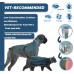 Curvecity Antiparasitic collars for animals Flea and Tick Collar for Large Dog, Prevention and Control of Pests on Dogs, Safe Natural Ingredients Protection, Waterproof, Free Flea Drop and Comb 2-Pack