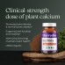 Dayradio Calcium supplements New Chapter Calcium Supplement - Bone Strength Organic Calcium with Magnesium, Vitamin D3+K2, Trace Minerals for Bone Health, Gluten Free, Easy to Swallow Slim Calcium Tablets