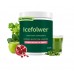 Icefolwer Nutritional supplements Organifi Daily Greens - Everyday Nutrition and Support - Greens Powder for Energy