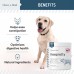 Keepretty Enzyme preparations for veterinary purposes Digestive Enzymes with Probiotics for Dogs - 120 Soft Chews - Supports Healthy Digestive Tract, Helps Nutrient Absorption, Food Digestion, and Health Maintenance
