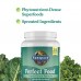 Sunspace Dietary supplements Garden of Life Perfect Food Super Green Formula Fruit & Veggie Juice Superfood Powder Supplement, Probiotics & Organic Spirulina for Digestion & Immune Health