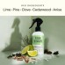 Yestory Air deodorizing preparations Odor Eliminator Spray & Air Freshener Odor Absorbers for Home, Safer Odor Relief, Natural Plant-Based Odor Eliminator