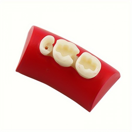 Forevertime Teeth filling material Tooth Cavity Filling and Inlay , Endodontic Root Canal Kit,Denta