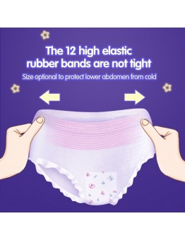 The day Menstrual underwear 2pcs Super Soft Non-Woven Period Underwear: Skin-Friendly Panty Shaped Sanitary Napkins for Night