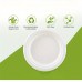 Whitedeer Disposable table plates 50-Pack White Paper Plates for Camping and Dining, Biodegradable
