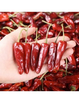 Itree Chili King Dried Chili Peppers Super Spicy Authentic Dried chili peppers Morning Glory Dried Seasoning 1KG