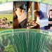 Plustoday Insect repellent incense which is the best choice for killing mosquitoes and insects in families, gardens, outdoor camping and fishing