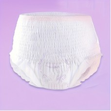 Maintenance diary Menstrual underwear 20pcs sanitary napkins panty style reassurance pants disposable for breathable sanitary napkins for night use Women's menstrual sleep pants