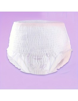 Maintenance diary Menstrual underwear 20pcs sanitary napkins panty style reassurance pants disposable for breathable sanitary napkins for night use Women's menstrual sleep pants