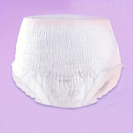 Maintenance diary Menstrual underwear 20pcs sanitary napkins panty style reassurance pants disposable for breathable sanitary napkins for night use Women's menstrual sleep pants