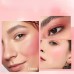 Jellywhale Cheek colors 4 Color Blush Palette - Water Resistant Matte Finish Powder - Medium Coverage for All Skin Tones - Natural Pink & Orange Shades Blush Set