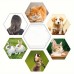 Livearth Antiparasitic collars for animals Dog Flea and Lice Removal , Non-Electric Plastic Pet Insect Catcher for Removing and Catching Lice,Safe and Easy to Use, Suitable for Dogs and Cats