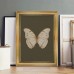 Roomountain Picture Frames Elegant Vintage White Butterfly Canvas Art Print with Golden Frame - 29.97x39.88cm Wall Decor for Living Room, Bedroom, Office, and Home - Chic Dark Mood-Inspired Insect Design, Perfect for Room Decor