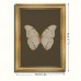Roomountain Picture Frames Elegant Vintage White Butterfly Canvas Art Print with Golden Frame - 29.97x39.88cm Wall Decor for Living Room, Bedroom, Office, and Home - Chic Dark Mood-Inspired Insect Design, Perfect for Room Decor