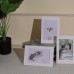 Enjoycity Paper photo frames 60pcs Modern White Paper Picture Frames 4x6 with Easel - Perfect for DIY, Weddings & Classroom Decor
