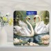 Innovation Cat Scales Digital Bathroom Scale With Swan Design, Ultra Slim & Accurate Body Weight Scale, 181.44 KG Capacity, Large Backlit Display, Ideal For Gym & Yoga Studio, Other Material, 26cm/10.24in