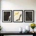 Shelldear Picture Frames Black Photo Frame for Home Decor and Display Unique Design Ideal for Family Memories and Special 3pcs
