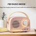 Pyramideer Personal stereos Mini Speaker, Wireless Vintage Speaker, Outdoors Wireless Portable Speaker Supports TWS Pairing/U-Disk/TF Card/AUX for Home, Travel, Outdoor, Gift for Christmas