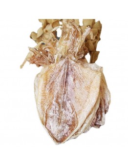 Okshark Dried seafood shredded squid dried squid dried seafood dried seafood grilled squid 580g