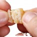 Secretday Dried seafood scallops and dried scallops, dried scallops, seafood and aquatic products, deep-sea collection 790g