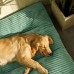Niceant Pet cushions Green Square with Pillow Back, High-Density Polyester Fiber Filled, Non-Assembled Pet Cushioned Bed for Extra Small, Small, Medium Dogs - All-Season Comfort