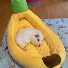 Snowcat Pet cushions Cozy Banana-Shaped Pet Bed for Small to Medium Dogs & Cats - Plush, Removable & Washable - Non-Slip Bottom, All-Season Comfort