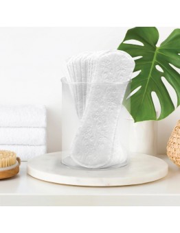 Wild Fairy Sanitary towels 2 pack Liners Long nscented Light Absorbency 96 Count